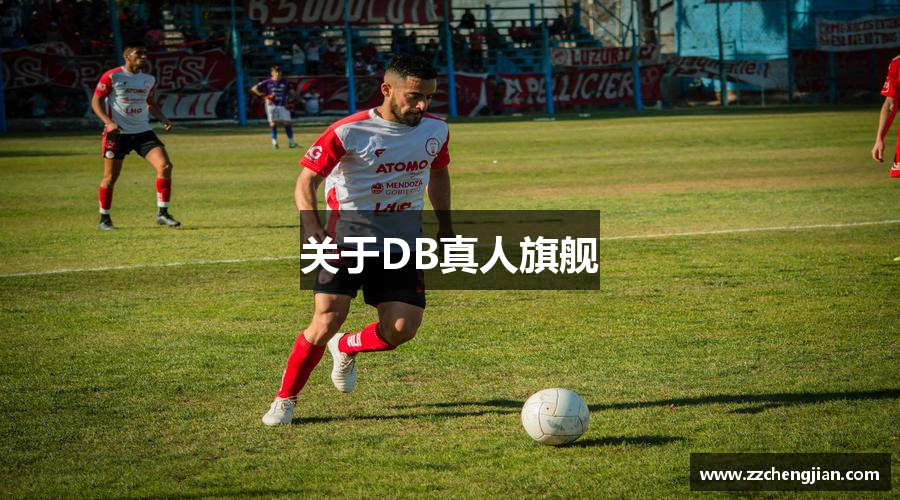 关于DB真人旗舰